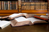 Accident attorney Bradenton